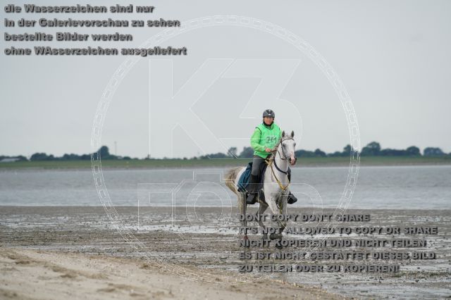 s_K3F04673.JPG